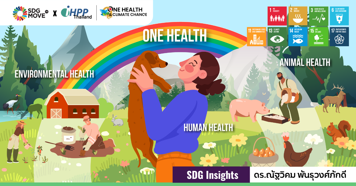 https://www.sdgmove.com/wp-content/uploads/2024/05/2024_SDG-Watch_WP_News-Rec-Action-Updates-Insights-Our-activities-Spotlight-1.png