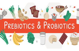 พรีไบโอติกส์ (Prebiotics) กับโพรไบโอติกส์ (Probiotics)